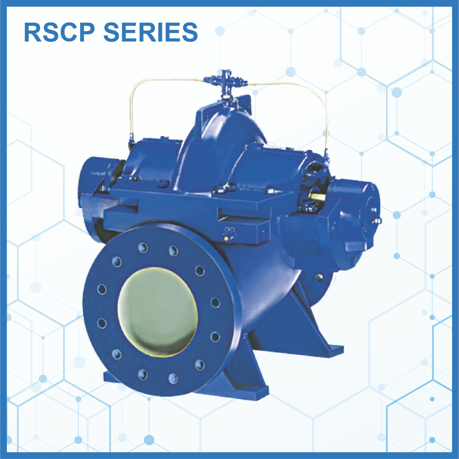 RSCP Series - Radial Pumps Industries